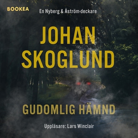 Gudomlig hämnd (ljudbok) av Johan Skoglund