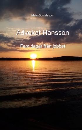 Advokat Hansson: Fem dagar från jobbet (e-bok) 