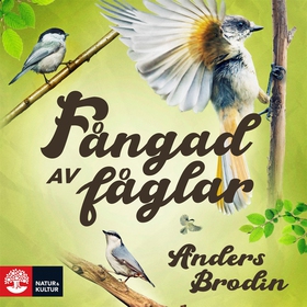 Fångad av fåglar (ljudbok) av Anders Brodin