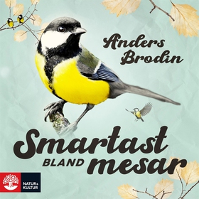 Smartast bland mesar (ljudbok) av Anders Brodin