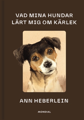 Vad mina hundar lärt mig om kärlek (e-bok) av A