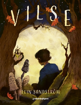 Vilse (e-bok) av Elin Sandström