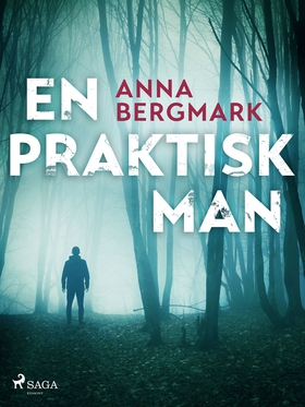 En praktisk man (e-bok) av Anna Bergmark