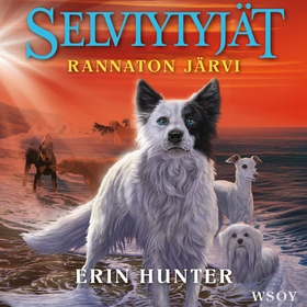 Selviytyjät: Rannaton järvi (ljudbok) av Erin H