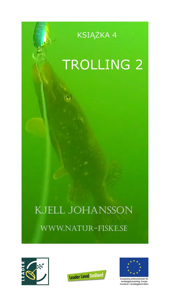 Trolling 2