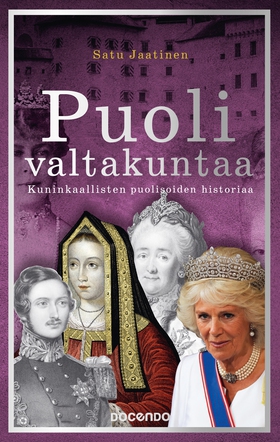 Puoli valtakuntaa (e-bok) av Satu Jaatinen