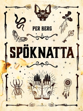 Spöknatta (e-bok) av Per Berg