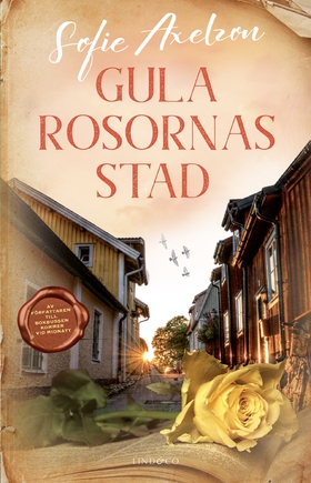 Gula rosornas stad (e-bok) av Sofie Axelzon