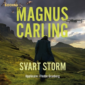 Svart storm (ljudbok) av Magnus Carling