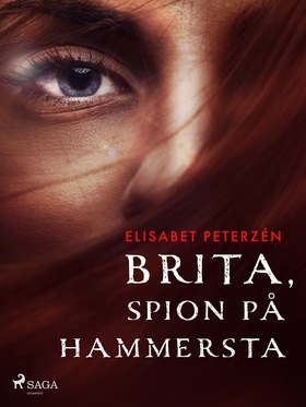 Brita, spion på Hammersta (e-bok) av Elisabet P