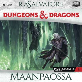 Dungeons &amp; Dragons – Drizztin legenda: Maan