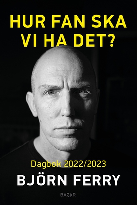 Hur fan ska vi ha det? : Dagbok 2022/2023 (e-bo