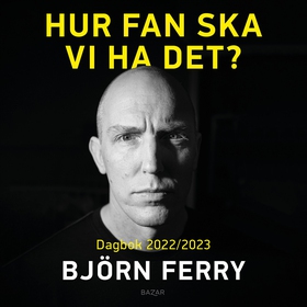 Hur fan ska vi ha det? : Dagbok 2022/2023 (ljud