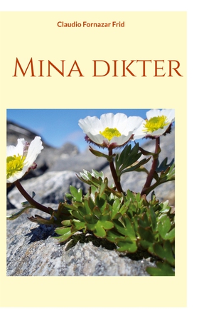 Mina dikter (e-bok) av Claudio Fornazar Frid