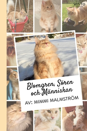 Blomgren, Sören och Människan (e-bok) av Mimmi 