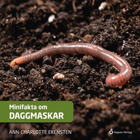 Minifakta om daggmaskar (ljudbok) av Ann-Charlo