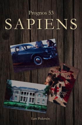 Prognos 53 Sapiens (e-bok) av Lars Pedersén