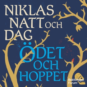 Ödet och hoppet (ljudbok) av Niklas Natt och Da