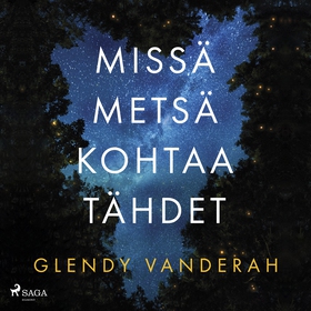 Missä metsä kohtaa tähdet (ljudbok) av Glendy V