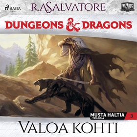 Dungeons & Dragons – Drizztin legenda: Valoa ko