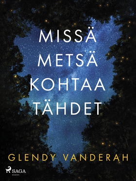 Missä metsä kohtaa tähdet (e-bok) av Glendy Van