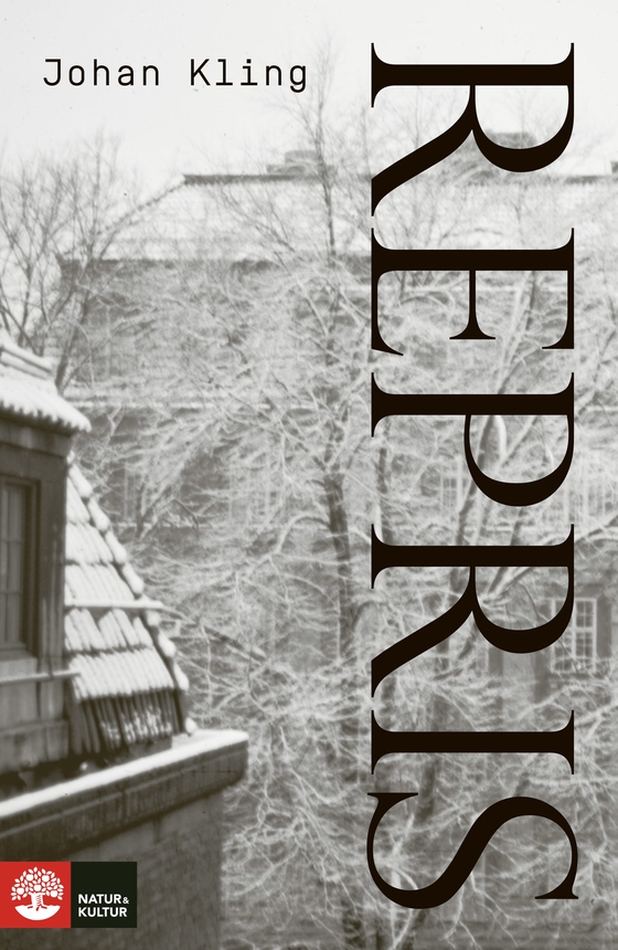 Repris (e-bok) av Johan Kling