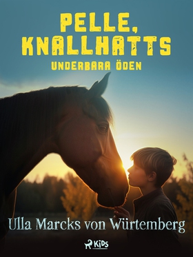 Pelle Knallhatts underbara öden (e-bok) av Ulla