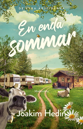 En enda sommar (e-bok) av Joakim Hedin