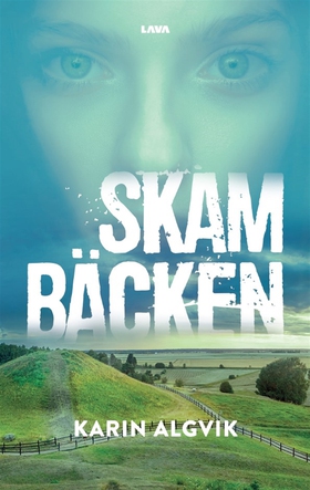 Skambäcken (e-bok) av Karin Algvik