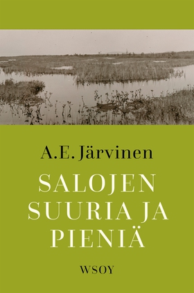 Salojen suuria ja pieniä (e-bok) av A. E. Järvi