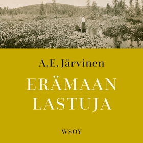 Erämaan lastuja (ljudbok) av A. E. Järvinen