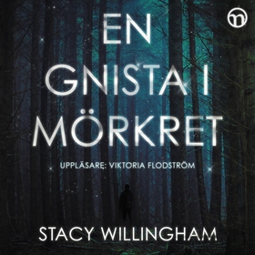 En gnista i mörkret (ljudbok) av Stacy Willingh