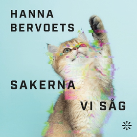 Sakerna vi såg (ljudbok) av Hanna Bervoets