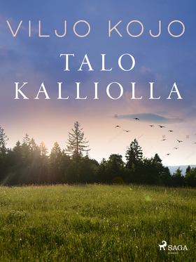 Talo kalliolla (e-bok) av Viljo Kojo
