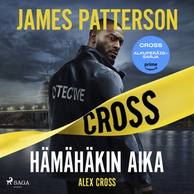 Hämähäkin aika (ljudbok) av James Patterson