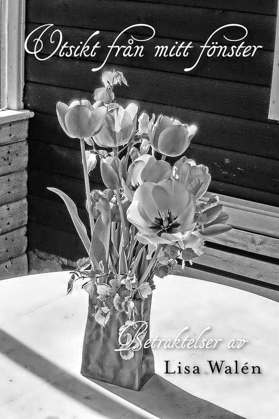 Utsikt från mitt fönster