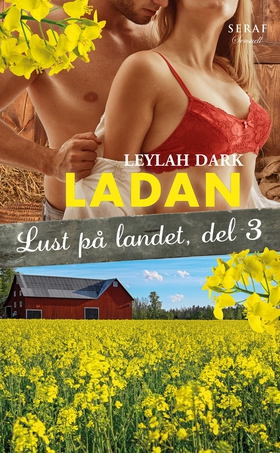 Lust på landet 3: Ladan (e-bok) av Leylah Dark
