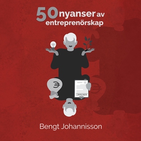50 nyanser av entreprenörskap (ljudbok) av Beng