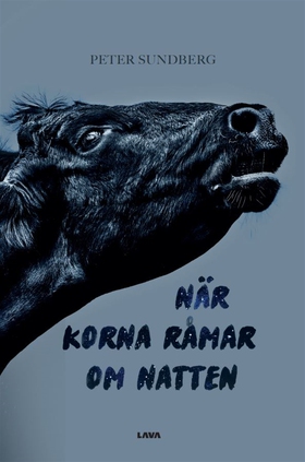 När korna råmar om natten (e-bok) av Peter Sund