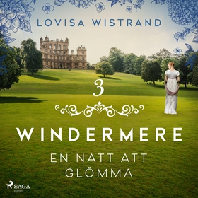 En natt att glömma (ljudbok) av Lovisa Wistrand