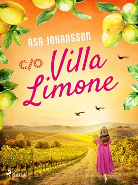 C/O Villa Limone (e-bok) av Åsa Johansson