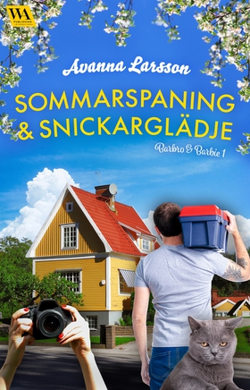 Sommarspaning & snickarglädje (e-bok) av Avanna