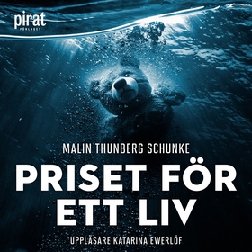 Priset för ett liv (ljudbok) av Malin Thunberg 