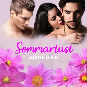 Sommarlust - erotisk novell (ljudbok) av Agnes 