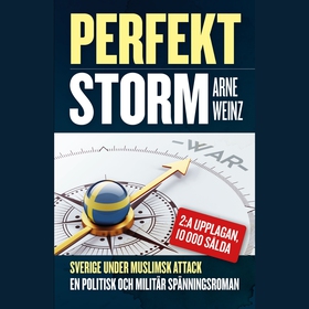 Perfekt storm (ljudbok) av Arne Weinz