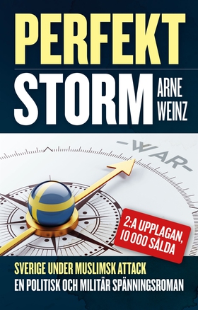 Perfekt storm (e-bok) av Arne Weinz