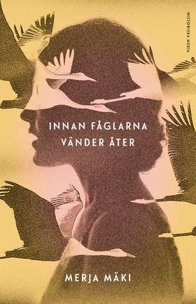 Innan fåglarna vänder åter (e-bok) av Merja Mäk