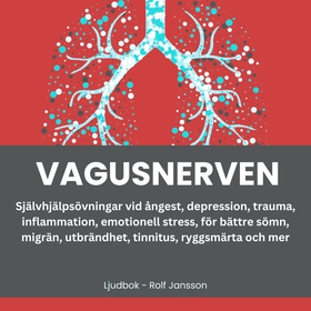 VAGUSNERVEN: HÖJ DITT SEROTONIN, DOPAMIN, OCH O