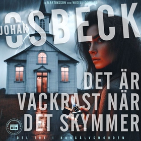 Det är vackrast när det skymmer (ljudbok) av Jo