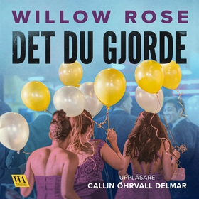 Det du gjorde (ljudbok) av Willow Rose